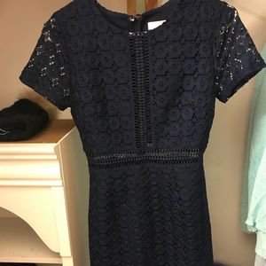 Navy Blue Lace fitted dress